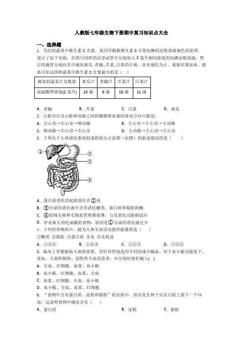 人教版七年级生物下册期中复习知识点大全