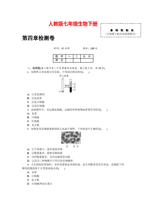 生物七年级下第四章  检测卷及答案