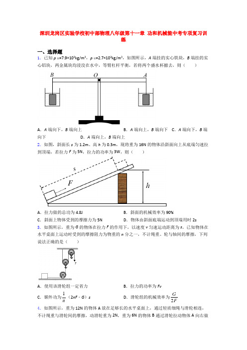 深圳龙岗区实验学校初中部物理八年级第十一章 功和机械能中考专项复习训练