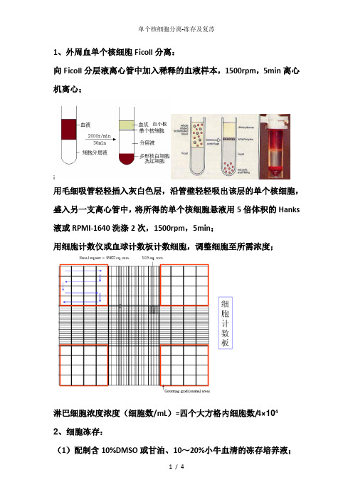 单个核细胞分离-冻存及复苏