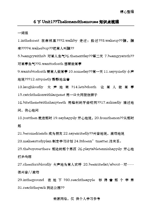 新译林英语6B_全册知识点梳理(重点词汇、句型、语法知识整理)