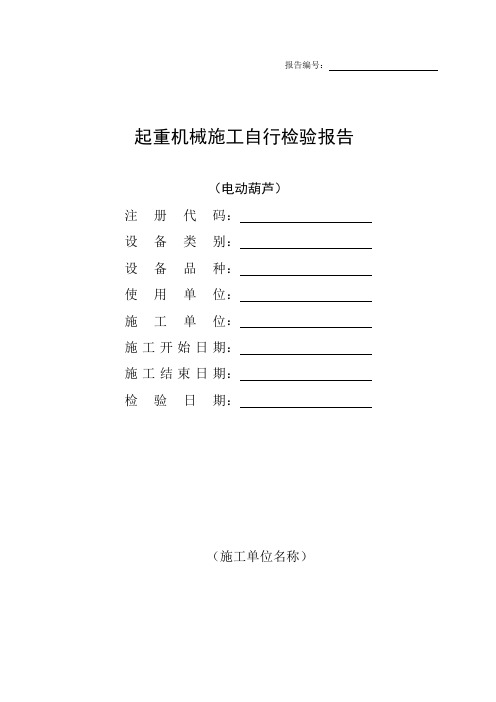 电动葫芦定期(首检)自行检验报告(09.12.8)