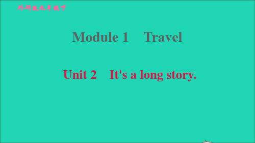 九年级英语下册Module1TravelUnit2It'salongstory习题课件