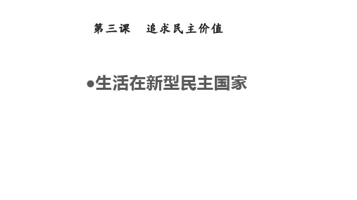 新教材部编版道德与法治九年级[上]生活在新型民主国家课件