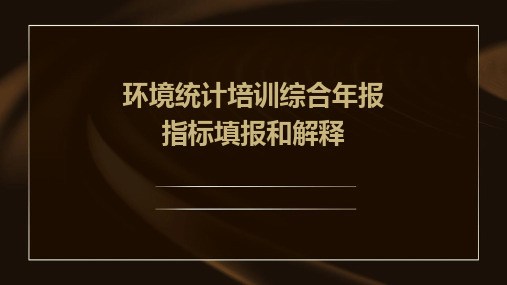 环境统计培训综合年报指标填报和解释