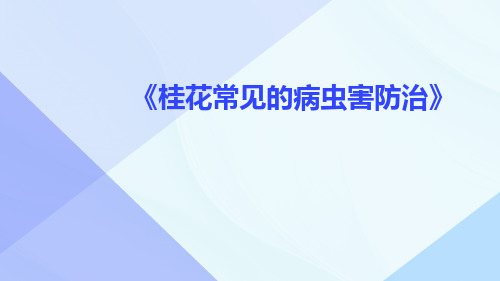 桂花常见的病虫害防治