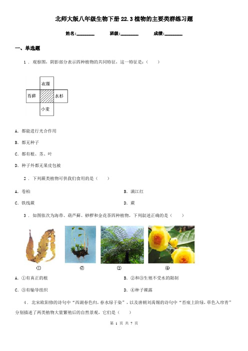 北师大版八年级生物下册22.3植物的主要类群练习题