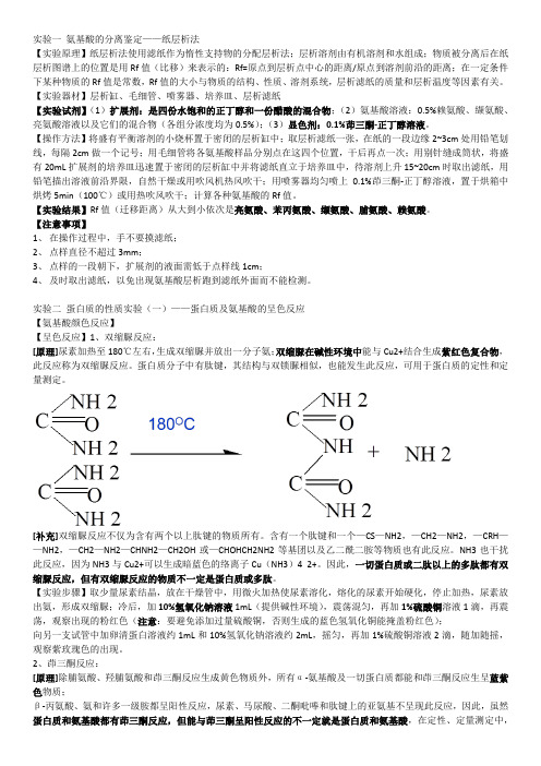 生物化学实验复习