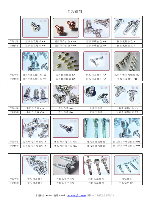 自攻螺钉 图文并茂