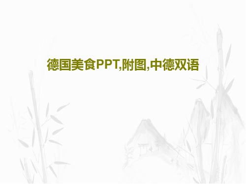 德国美食PPT,附图,中德双语19页文档