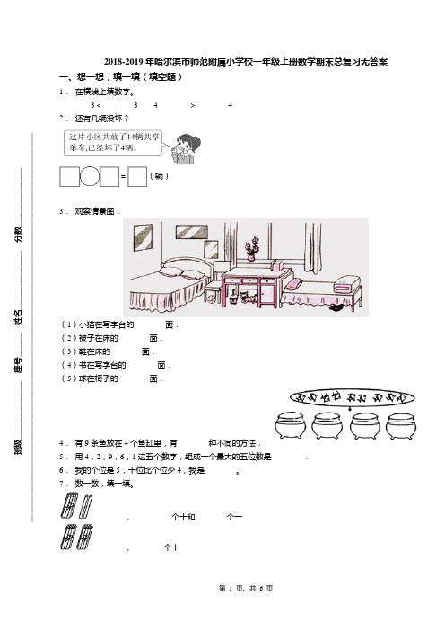 2018-2019年哈尔滨市师范附属小学校一年级上册数学期末总复习无答案