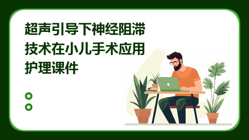 超声引导下神经阻滞技术在小儿手术应用护理课件