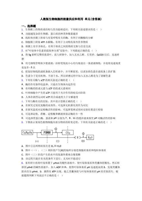 人教版生物细胞的能量供应和利用 单元(含答案)