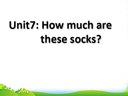 人教版英语七年级上 Unit 7 How much are these socks. Section