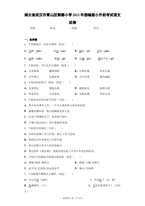 湖北省武汉市青山区钢都小学2021年部编版小升初考试语文试卷(含答案解析)