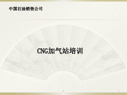 CNG加气站培训ppt课件