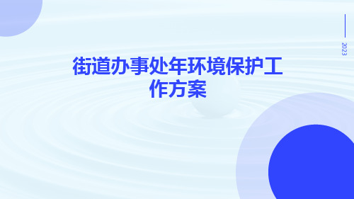 街道办事处年环境保护工作方案