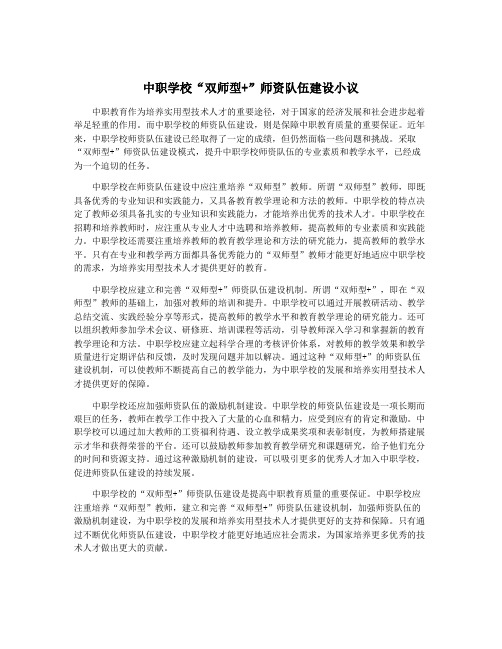 中职学校“双师型+”师资队伍建设小议