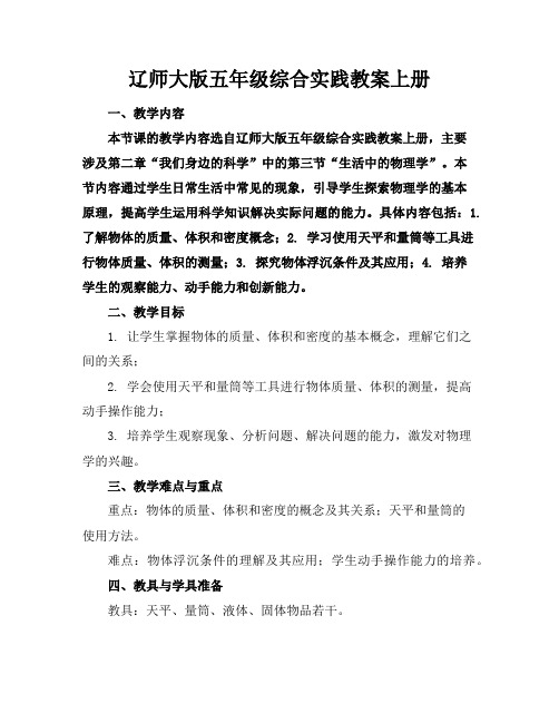 辽师大版五年级综合实践教案上册