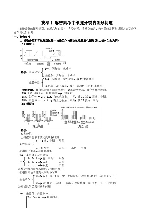 技法1 解密高考中细胞分裂的图形问题-【技法篇】决胜2022年高考生物解题技巧详解