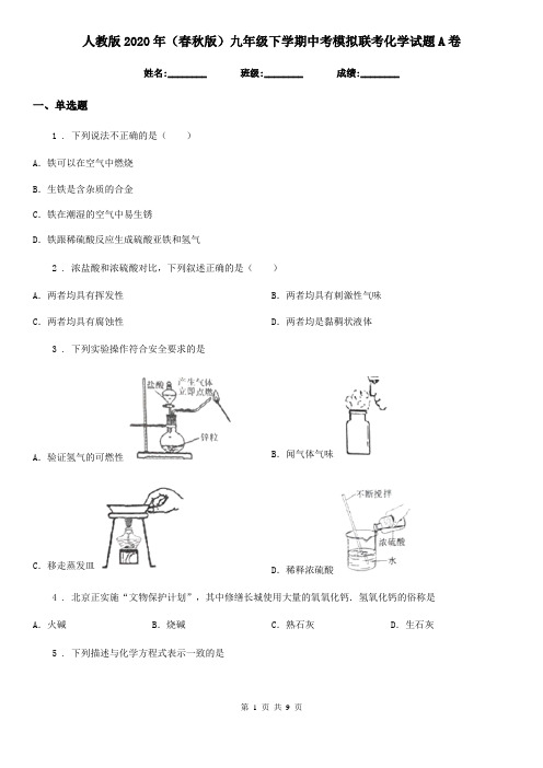 人教版2020年(春秋版)九年级下学期中考模拟联考化学试题A卷