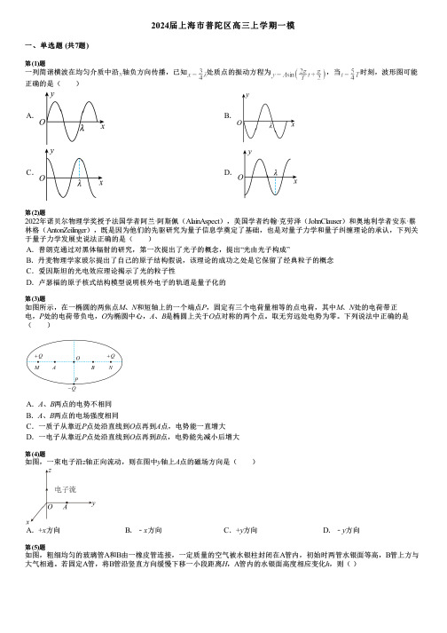 2024届上海市普陀区高三上学期一模