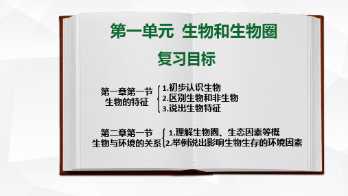 人教版八年级生物中考复习：绿色植物的三大作用课件(精品)