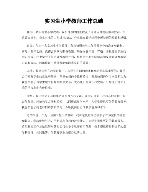 实习生小学教师工作总结