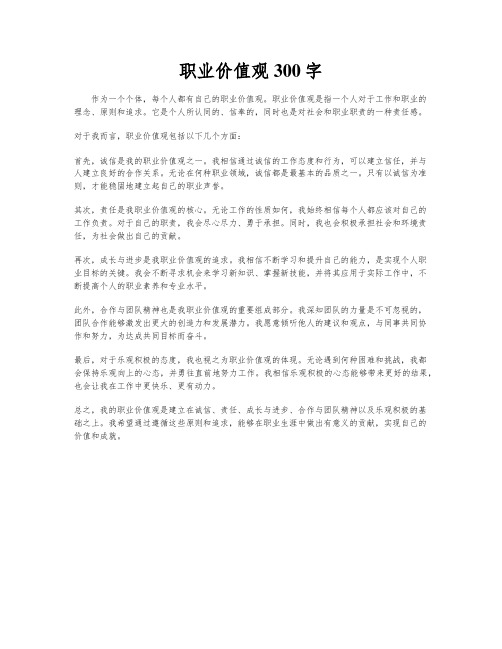 职业价值观300字