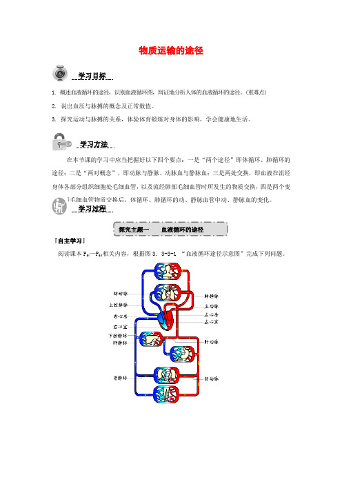 济南版-生物-七年级下册-3.3.3 物质运输的途径 优秀导学案