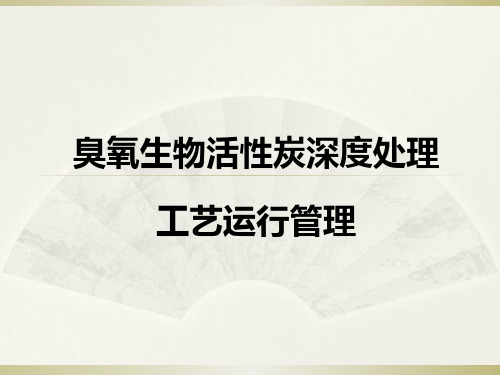 臭氧生物活性炭技术交流