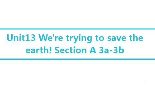 人教新目标九年级英语全册Unit13 Section A 3a-3b课件