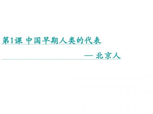 人教部编版七年级上册第1单元第1课中国早期人类的代表-北京人 (共49张PPT)