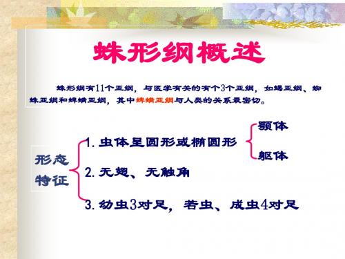092 蛛形纲