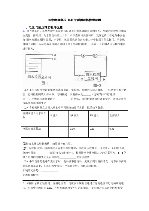 初中物理电压 电阻专项测试提优卷试题