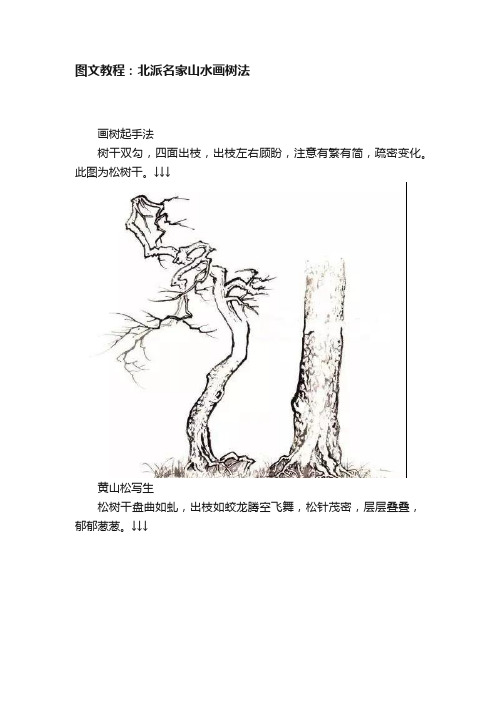 图文教程：北派名家山水画树法