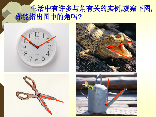 浙教版七年级数学上册6.5 角与角的度量 课件(共24张PPT)
