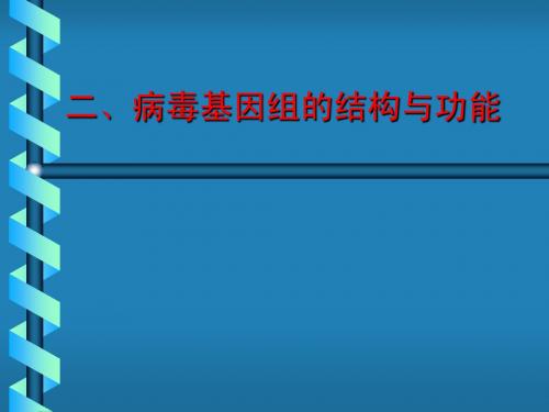 分子生物学本5-病毒基因组特点及功能