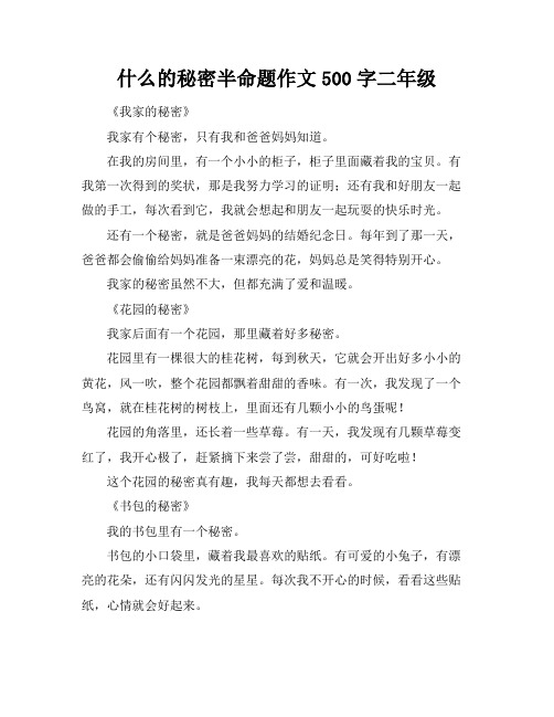 什么的秘密半命题作文500字二年级