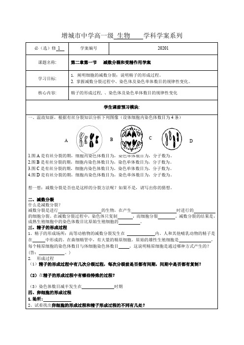 《减数分裂和受精作用》学案