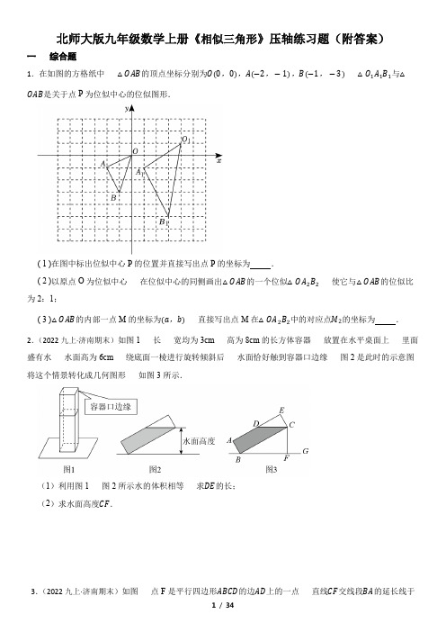 北师大版九年级数学上册《相似三角形》压轴练习题(附答案)