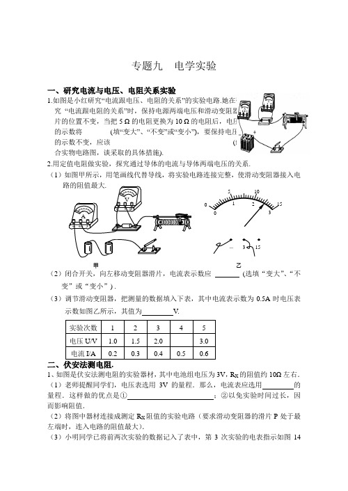 专题九  电学实验