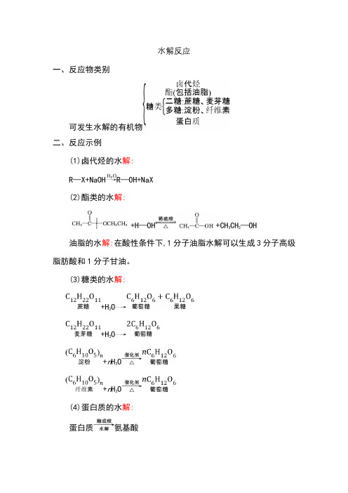 有机物水解反应