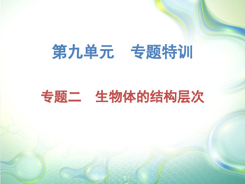 2020届广东省人教版中考必备生物复习课件：第九单元专题二(共36张PPT)