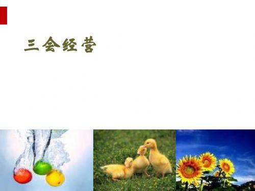 某公司三会经营培训教材(PPT66页)