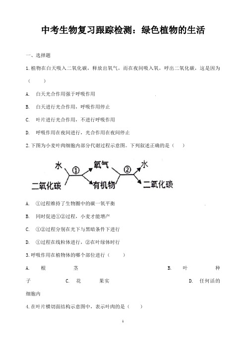 (名师整理)最新生物中考专题复习《绿色植物的生活》考点检测试题(含答案)