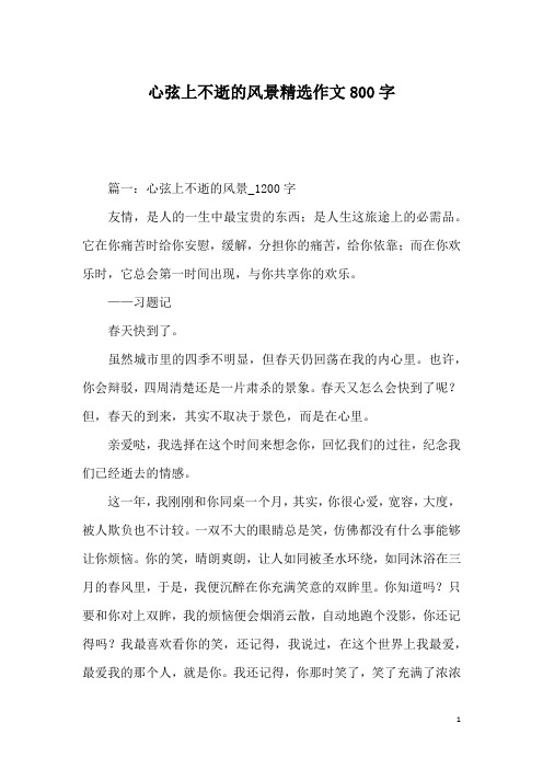 心弦上不逝的风景精选作文800字