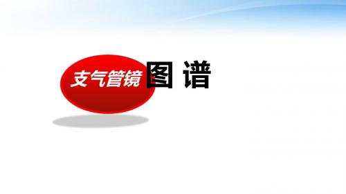 支气管分段亚段及及支气管镜检查  ppt课件