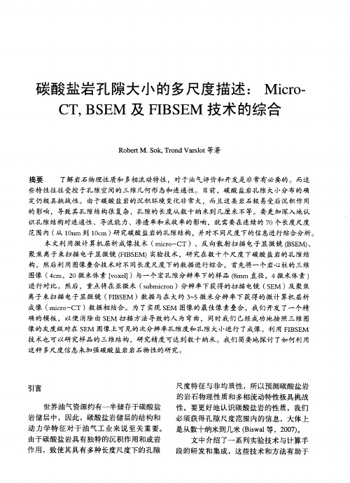 碳酸盐岩孔隙大小的多尺度描述：Micro—CT,BSEM及FIBSEM技术的综合