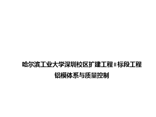 铝模体系及质量控制培训课件PPT实用课件(共33页)